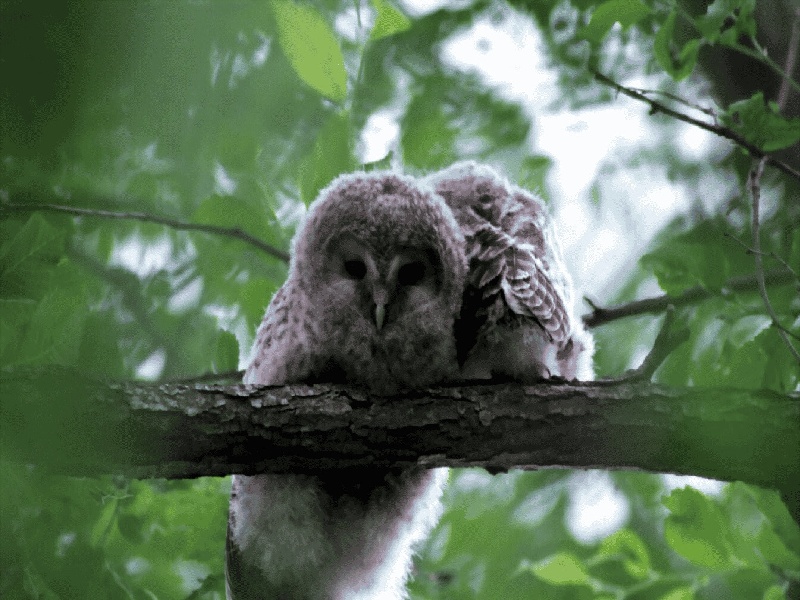 试管之路的辛酸美国有偿试管战争试管婴儿